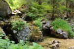 2014-07-05_Laengental-N-Hochweg (477). JPG